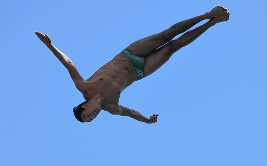 17th FINA World Championships. High diving. Men