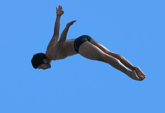 17th FINA World Championships. High diving. Men