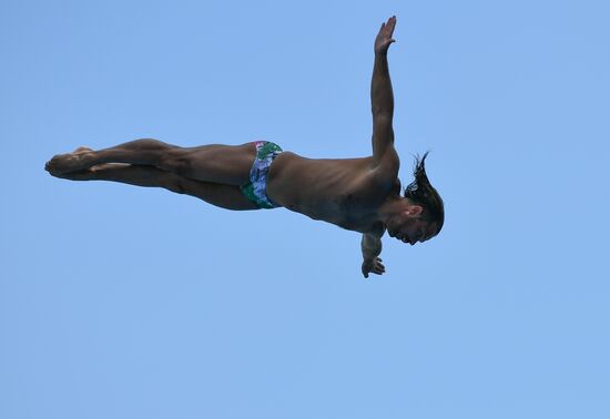 17th FINA World Championships. High diving. Men