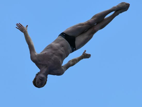17th FINA World Championships. High diving. Men
