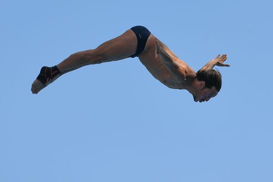17th FINA World Championships. High diving. Men