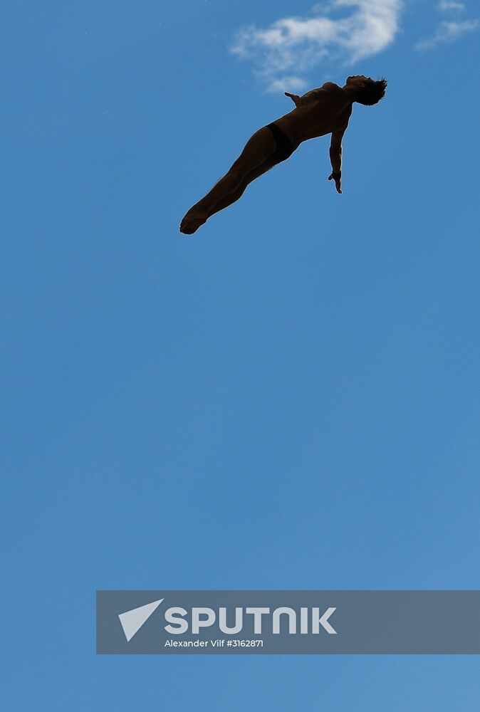 17th FINA World Championships. High diving. Men