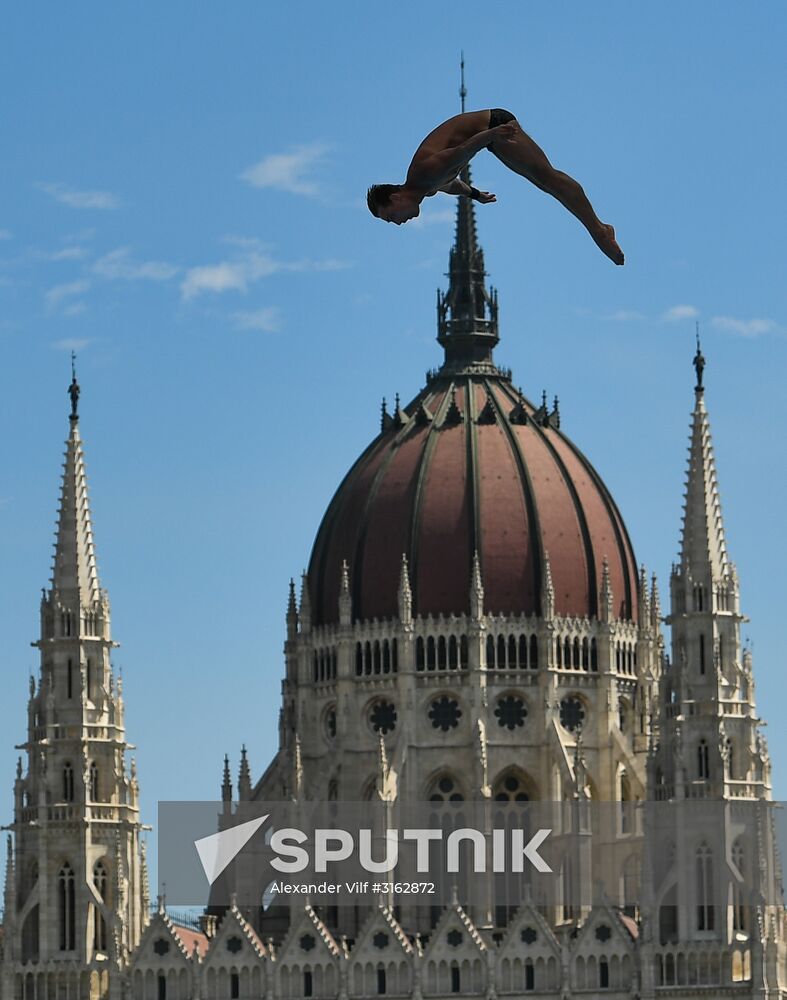 17th FINA World Championships. High diving. Men