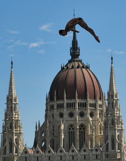 17th FINA World Championships. High diving. Men