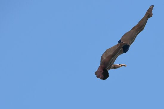 17th FINA World Championships. High diving. Men