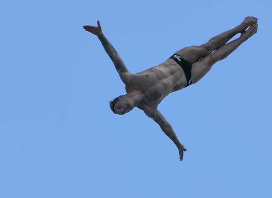 17th FINA World Championships. High diving. Men