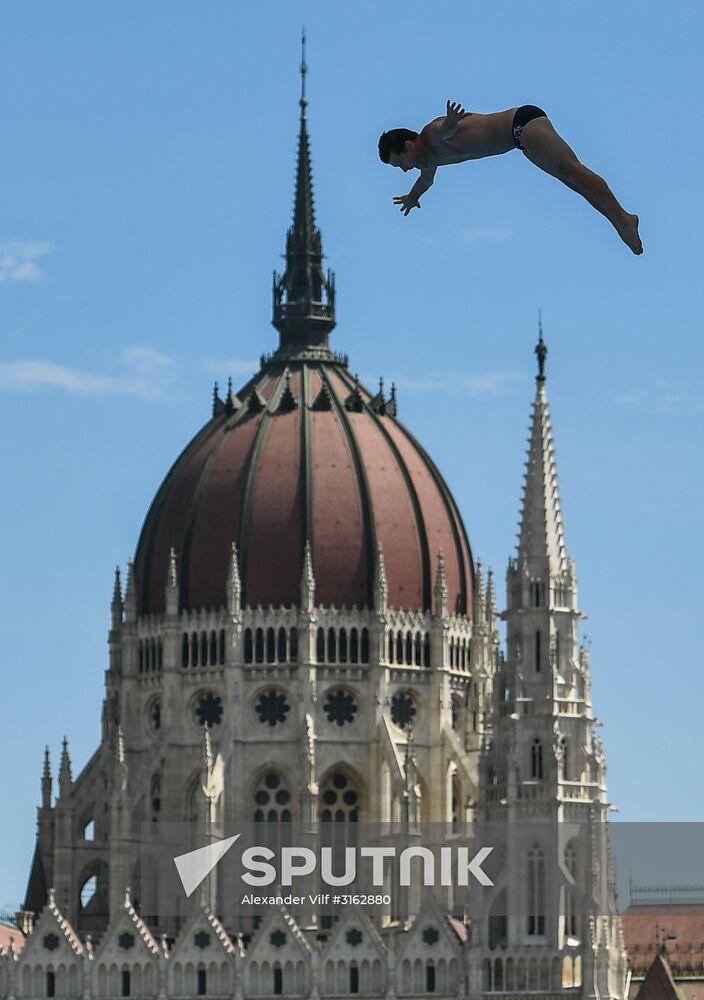 17th FINA World Championships. High diving. Men