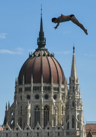17th FINA World Championships. High diving. Men