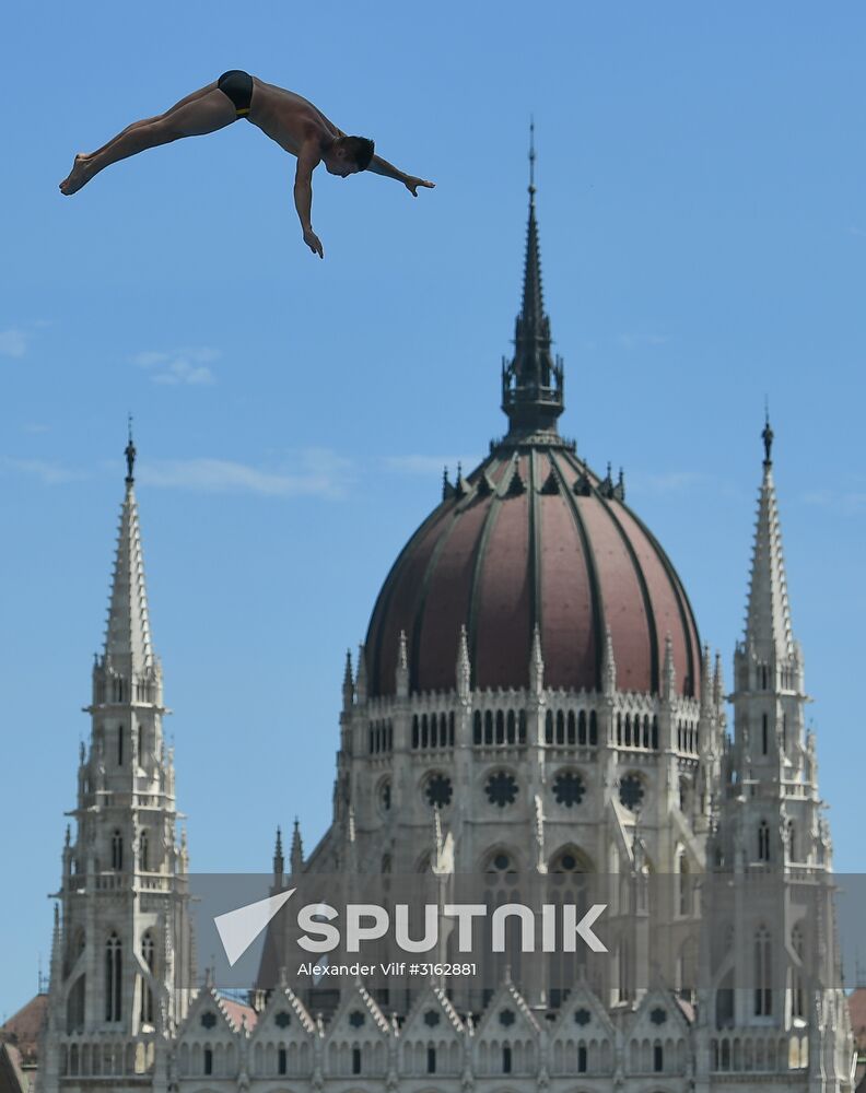 17th FINA World Championships. High diving. Men