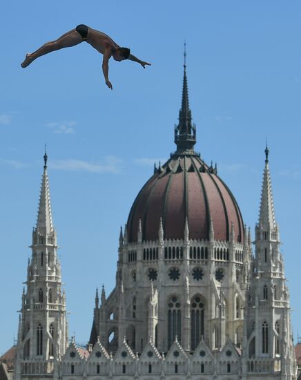 17th FINA World Championships. High diving. Men