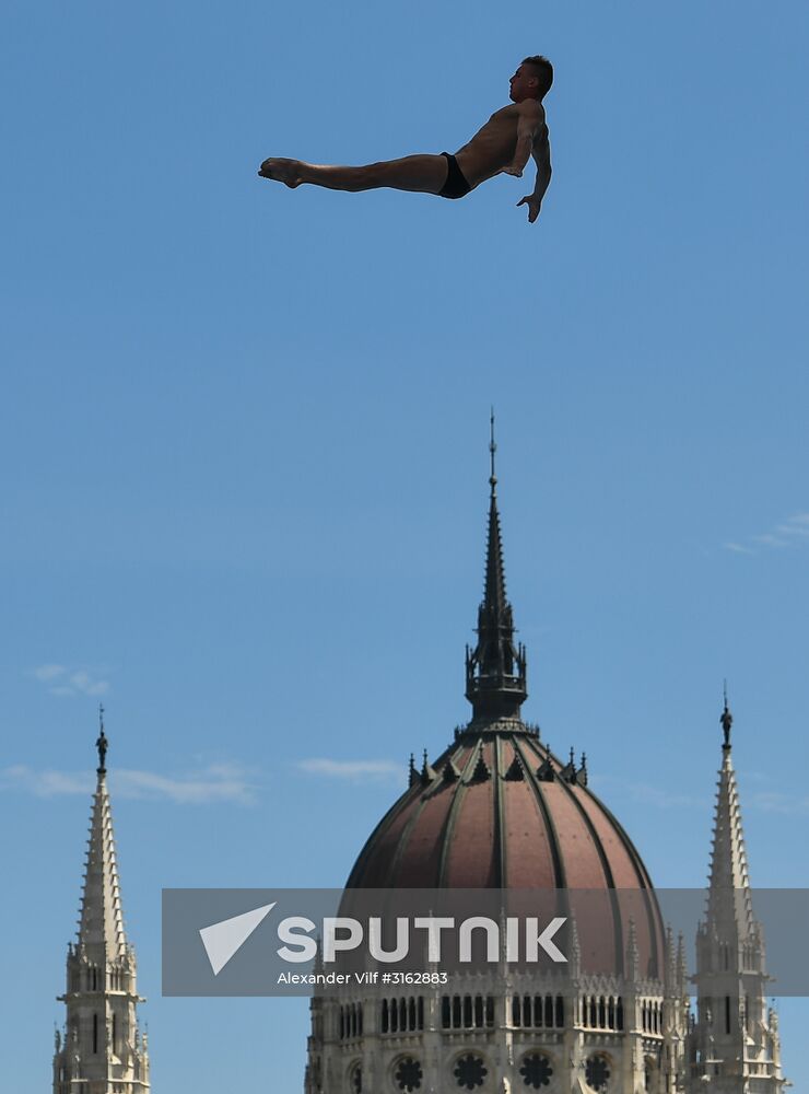 17th FINA World Championships. High diving. Men