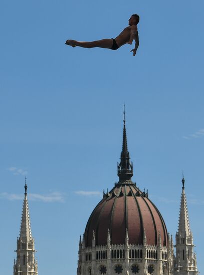 17th FINA World Championships. High diving. Men
