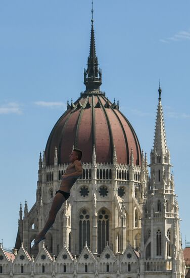 17th FINA World Championships. High diving. Men