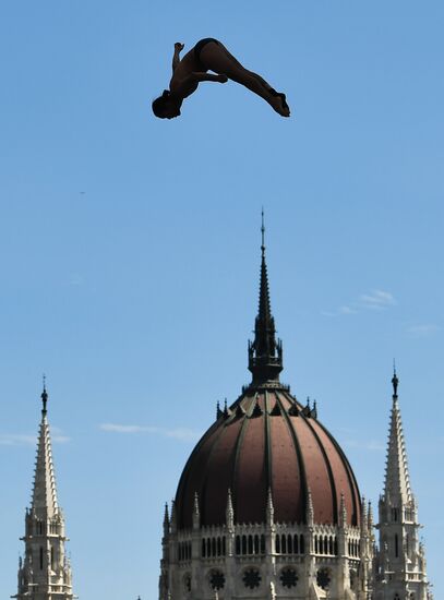 17th FINA World Championships. High diving. Men