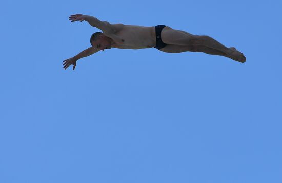 17th FINA World Championships. High diving. Men