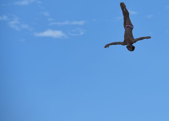 17th FINA World Championships. High diving. Men