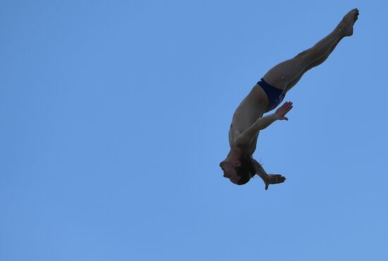 17th FINA World Championships. High diving. Men
