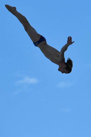 17th FINA World Championships. High diving. Men