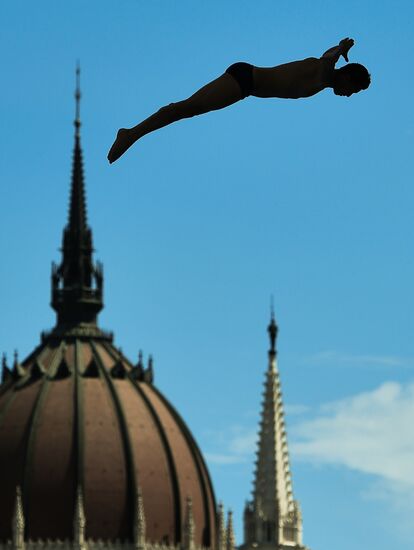 17th FINA World Championships. High diving. Men