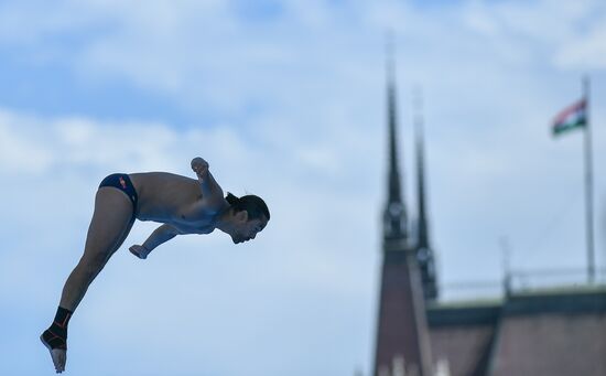 17th FINA World Championships. High diving. Men