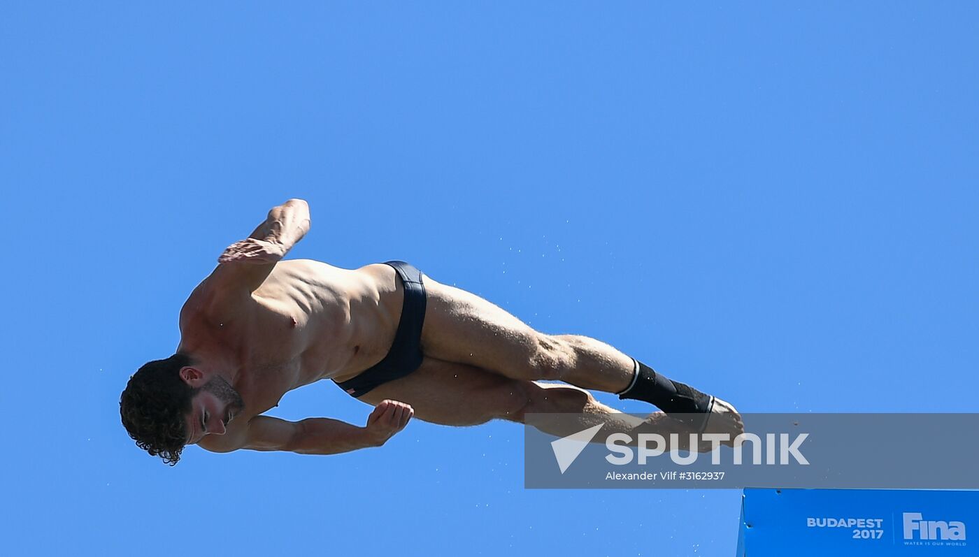 17th FINA World Championships. High diving. Men