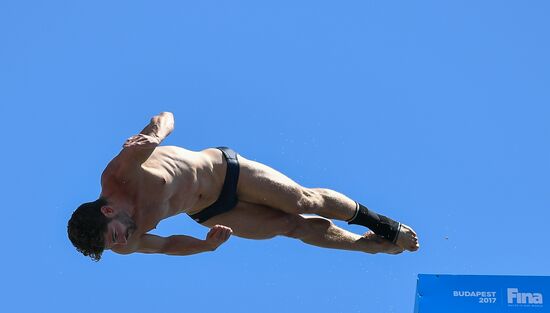 17th FINA World Championships. High diving. Men