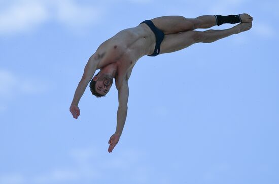 17th FINA World Championships. High diving. Men