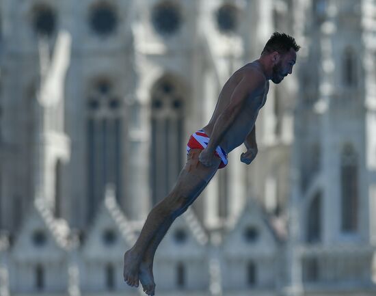 17th FINA World Championships. High diving. Men