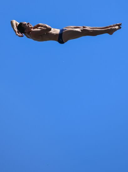 17th FINA World Championships. High diving. Men