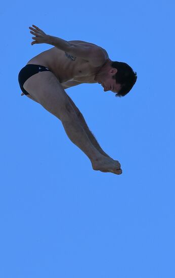 17th FINA World Championships. High diving. Men