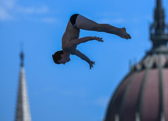 17th FINA World Championships. High diving. Men