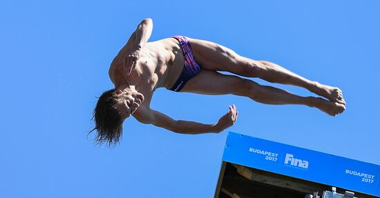17th FINA World Championships. High diving. Men