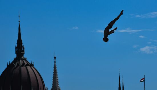 17th FINA World Championships. High diving. Men