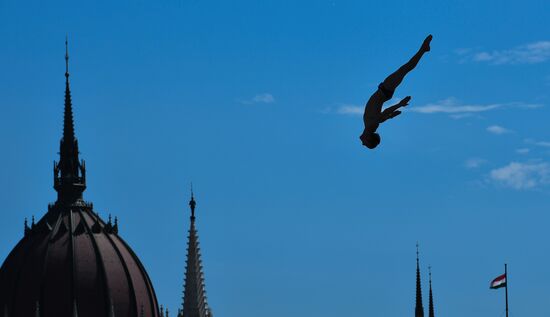 17th FINA World Championships. High diving. Men