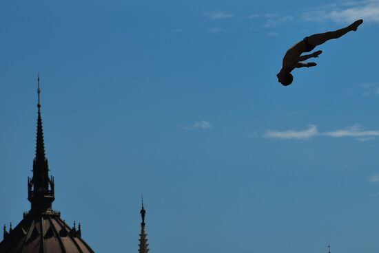 17th FINA World Championships. High diving. Men