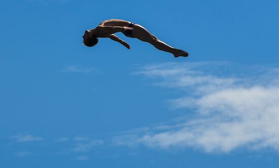 17th FINA World Championships. High diving. Men