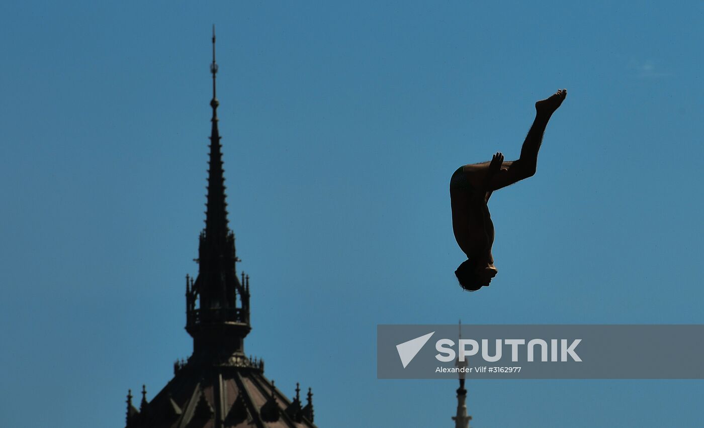 17th FINA World Championships. High diving. Men