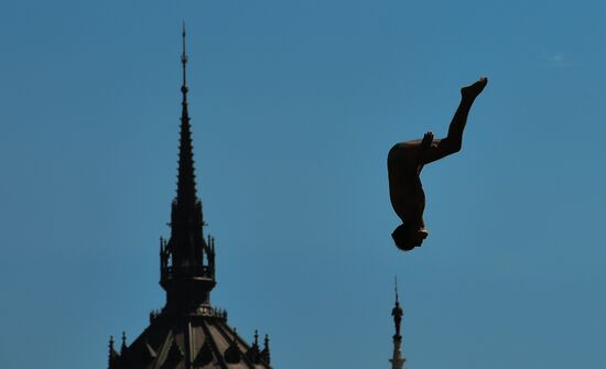 17th FINA World Championships. High diving. Men