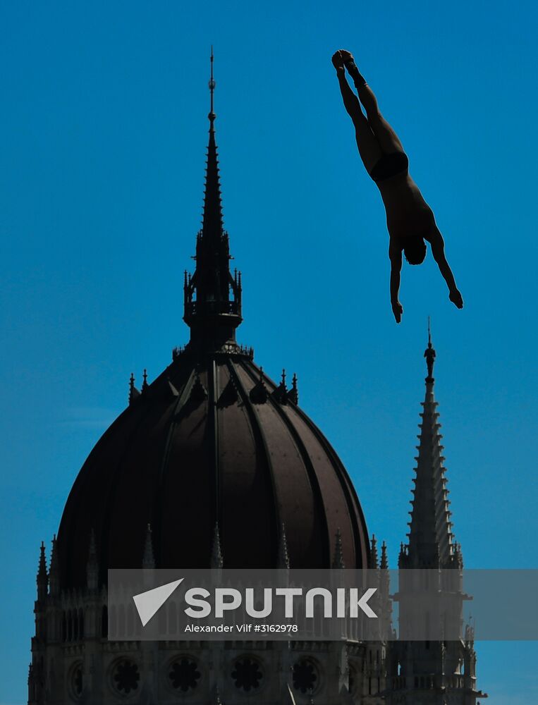 17th FINA World Championships. High diving. Men