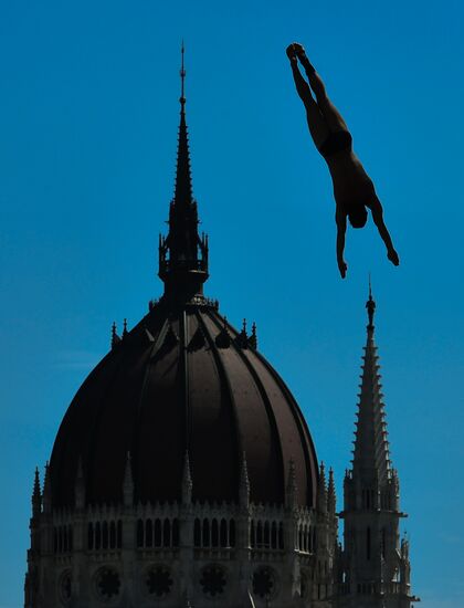17th FINA World Championships. High diving. Men