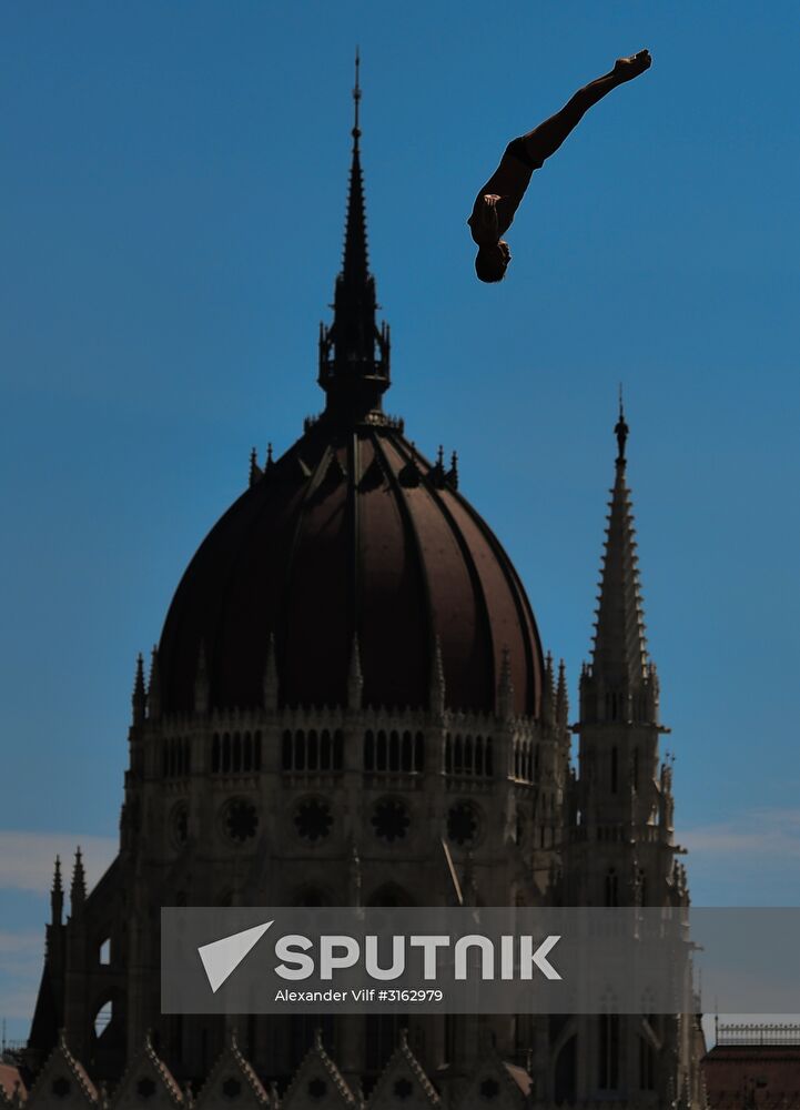 17th FINA World Championships. High diving. Men