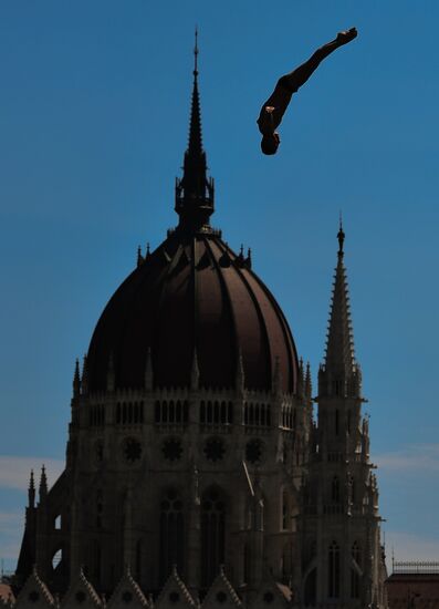 17th FINA World Championships. High diving. Men