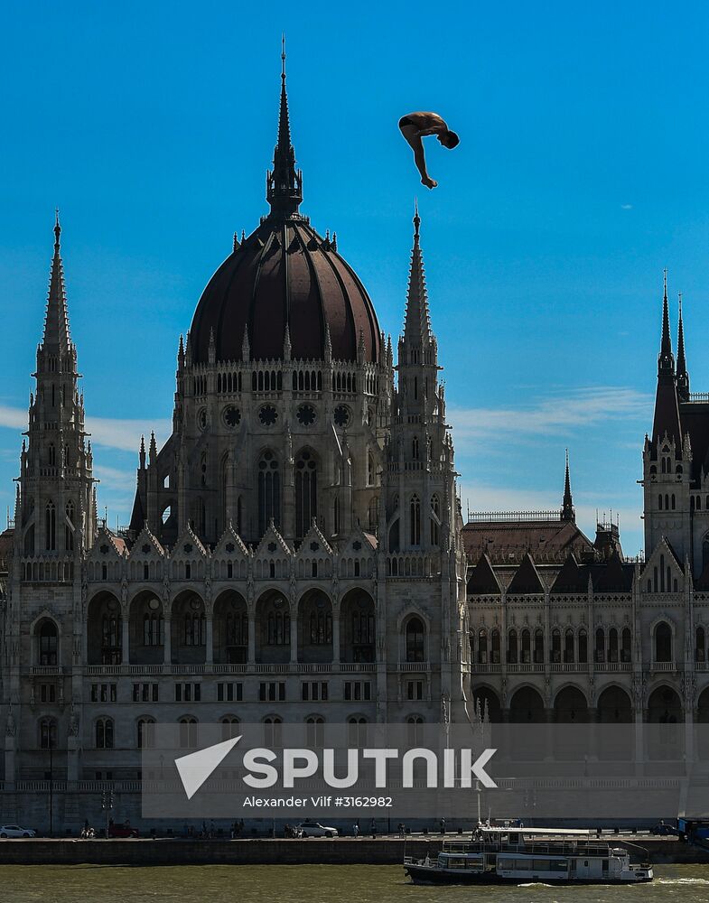 17th FINA World Championships. High diving. Men