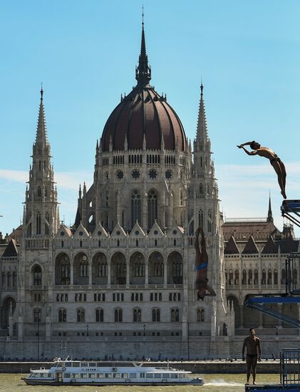 17th FINA World Championships. High diving. Men