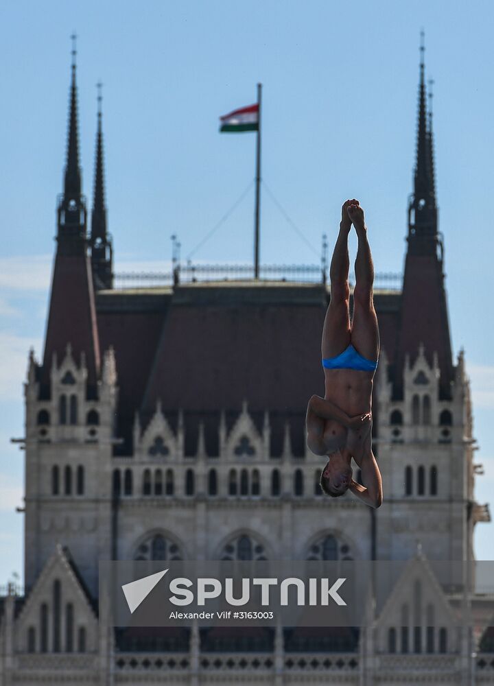 17th FINA World Championships. High diving. Men