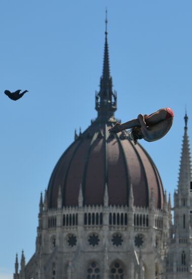 17th FINA World Championships. High diving. Men