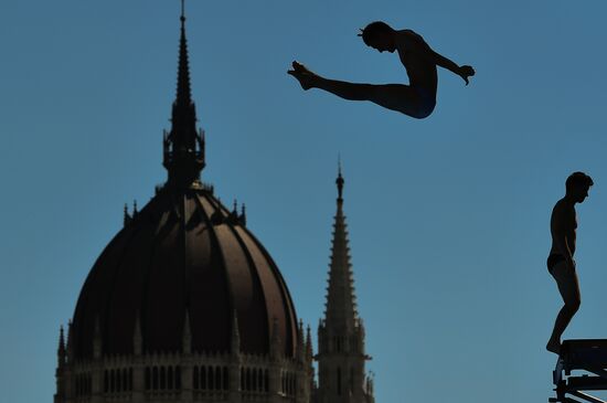 17th FINA World Championships. High diving. Men