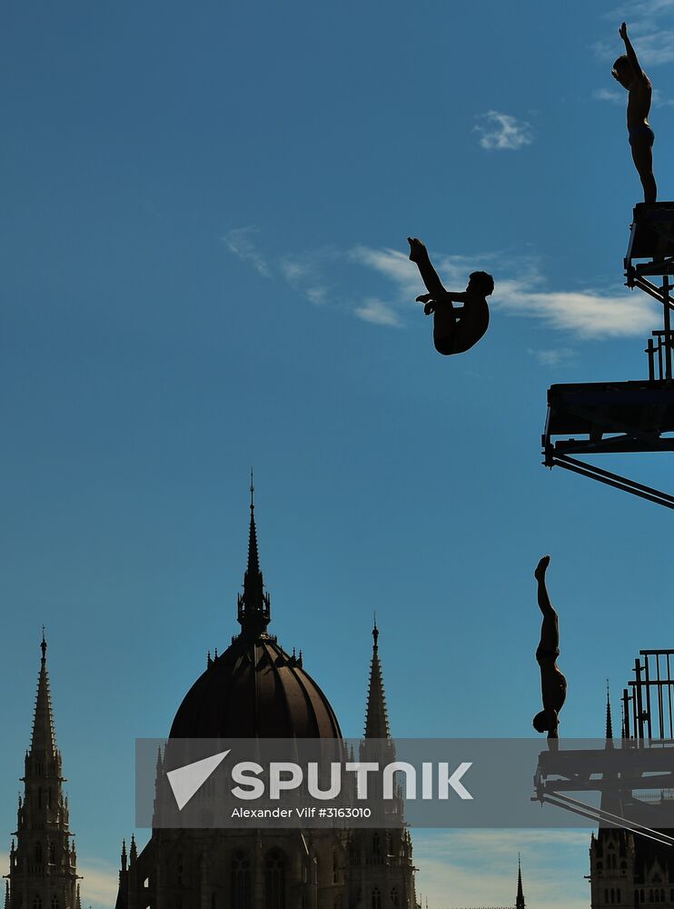 17th FINA World Championships. High diving. Men