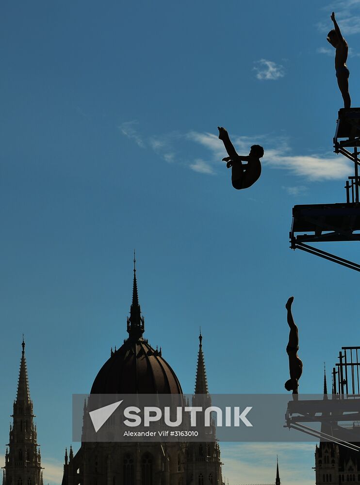 17th FINA World Championships. High diving. Men