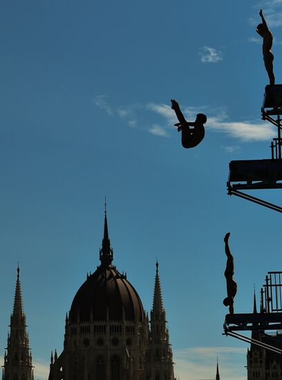 17th FINA World Championships. High diving. Men